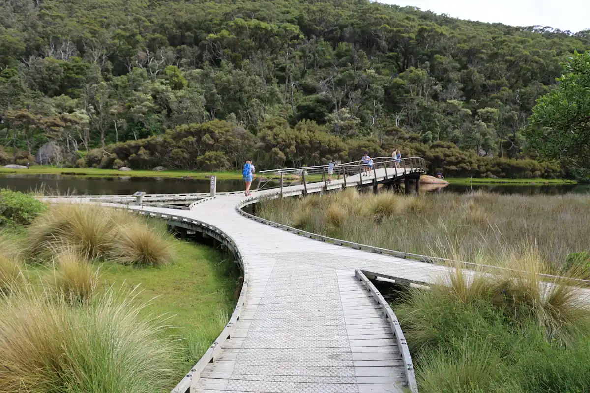 A timber boardwalk leading across calm water